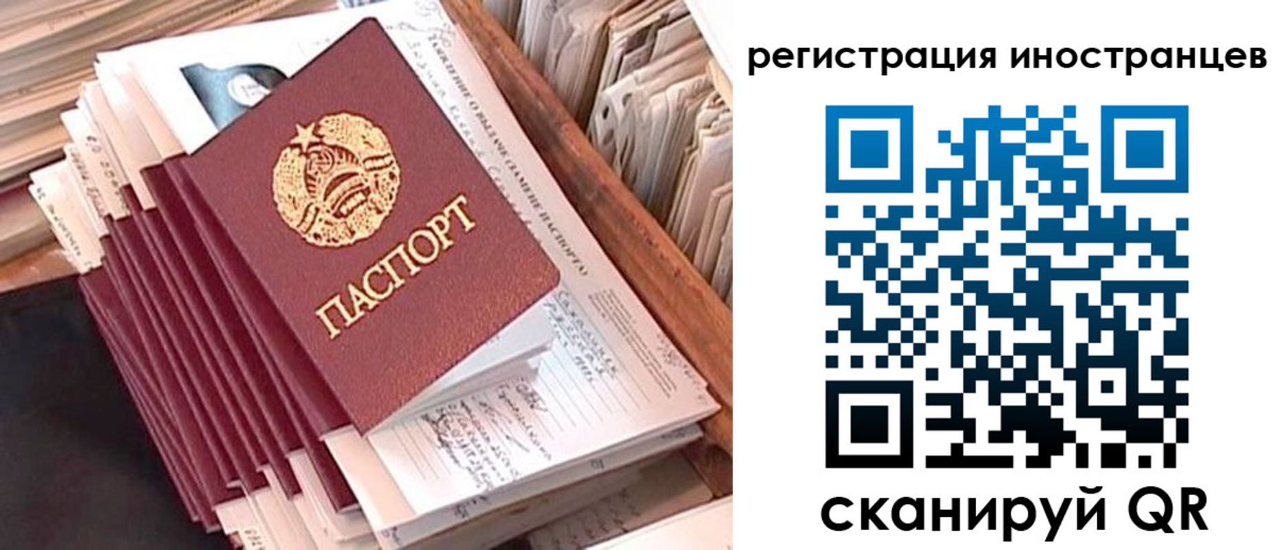 прописка для школы в Ельце